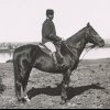 Mounted Police Tracker. NMA